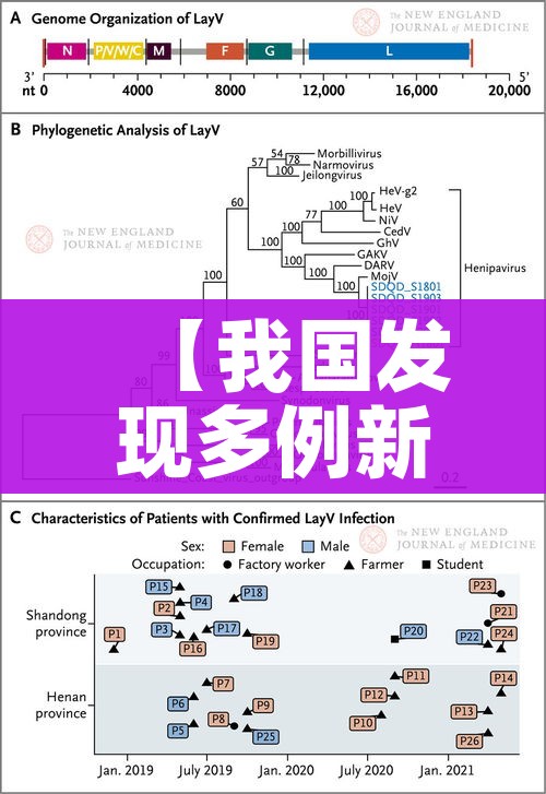 全攻略普及“微信链接炸金花房卡怎么买”房卡链接获取 全攻略普及“微信链接炸金花房卡怎么买”房卡链接获取