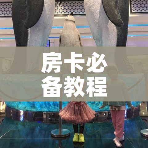 房卡必备教程“随意玩大厅怎么充房卡”详细房卡教程 房卡必备教程“随意玩大厅怎么充房卡”详细房卡教程
