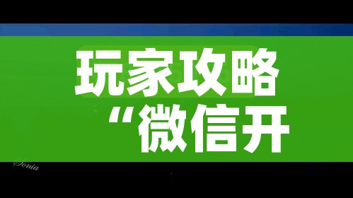 玩家攻略“微信开炸 金花群房卡上哪里充”详细房卡教程