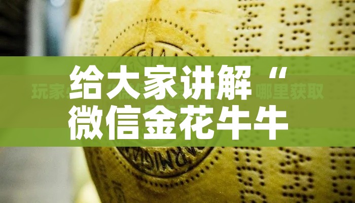 秒懂百科“微信炸 金花房间创建流程详解”房卡链接获取 秒懂百科“微信炸 金花房间创建流程详解”房卡链接获取