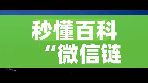 房卡必备教程“微信玩金花房卡在哪买”链接房卡在哪里获取 房卡必备教程“微信玩金花房卡在哪买”链接房卡在哪里获取