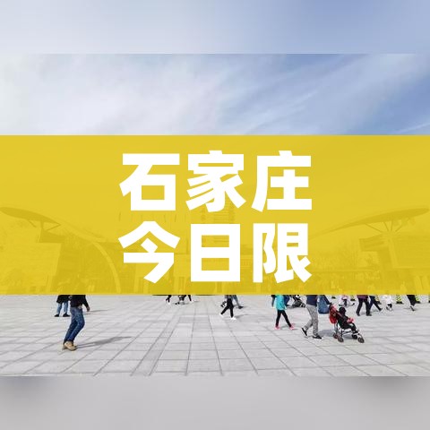 一分钟实测分享“微信群炸 金花房间链接”详细房卡教程