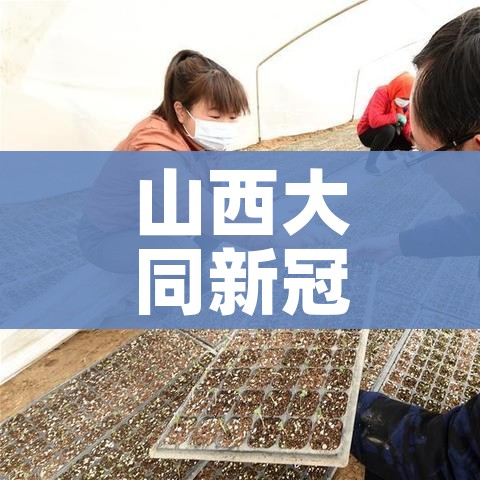 玩家必备教程“微信怎么开斗牛房间链接”房卡使用教程