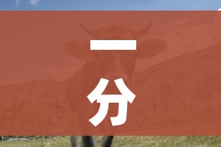 一分钟了解“微信牛牛群斗牛群”详细房卡使用教程 一分钟了解“微信牛牛群斗牛群”详细房卡使用教程