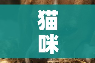 分享实测“微信链接”获取房卡教程-哔哩哔哩 分享实测“微信链接”获取房卡教程-哔哩哔哩