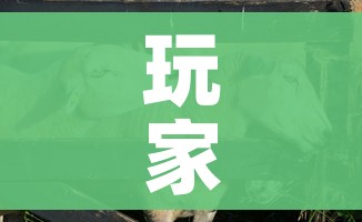 玩家攻略“微信牛牛群斗牛群”轻松获取房卡全渠道
