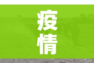 玩家必备教程“微信金花去哪购买房卡”房卡详细充值 玩家必备教程“微信金花去哪购买房卡”房卡详细充值
