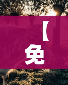 一分钟实测分享“微信斗牛怎么创建房间?”详细房卡怎么购买教程