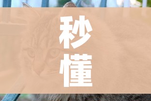 全攻略普及“微信金花链接房卡”获取房卡教程-哔哩哔哩 全攻略普及“微信金花链接房卡”获取房卡教程-哔哩哔哩