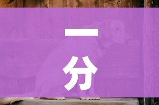 一分钟实测分享“购买斗牛房卡联系方式”房卡使用教程 一分钟实测分享“购买斗牛房卡联系方式”房卡使用教程