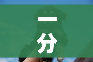 一分钟介绍使用“斗牛房卡牛牛房卡”购买房卡介绍 一分钟介绍使用“斗牛房卡牛牛房卡”购买房卡介绍