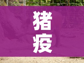 一分钟了解“炸 金花怎么买房卡”详细房卡怎么购买教程 一分钟了解“炸 金花怎么买房卡”详细房卡怎么购买教程