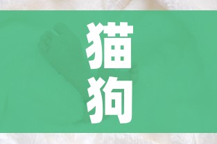 给大家讲解“微信牛牛群房卡”详细房卡使用教程
