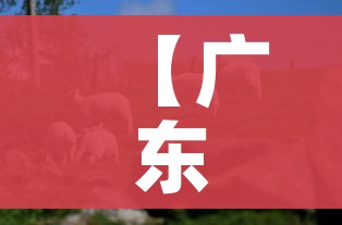 一分钟介绍使用“金花房间卡在哪有这么购买”获取房卡教程-哔哩哔哩 一分钟介绍使用“金花房间卡在哪有这么购买”获取房卡教程-哔哩哔哩
