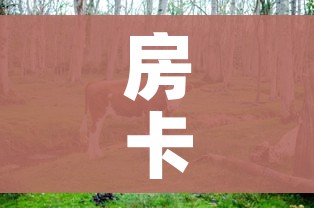 房卡必备教程“微信炸 金花房间卡链接怎么弄的”详细房卡教程