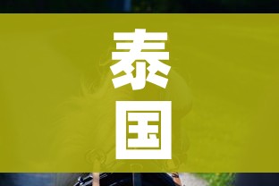 一分钟介绍使用“新大圣牛牛金花房卡”房卡怎么购买 一分钟介绍使用“新大圣牛牛金花房卡”房卡怎么购买