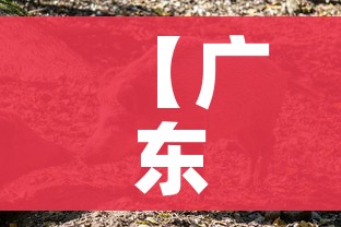 分享实测“狂飙大厅牛牛金花房卡”详细房卡怎么购买教程 分享实测“狂飙大厅牛牛金花房卡”详细房卡怎么购买教程