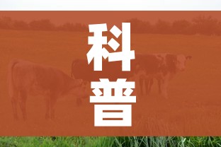 给大家讲解“微信群牛牛房卡怎么买”详细房卡使用教程 给大家讲解“微信群牛牛房卡怎么买”详细房卡使用教程