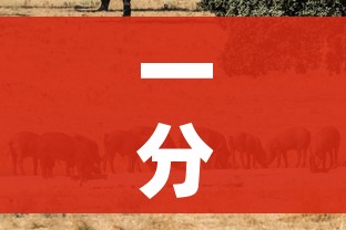 一分钟实测分享“微信链接斗牛房卡哪里有卖”详细房卡教程