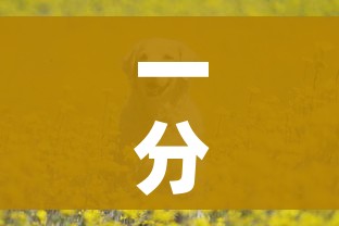 一分钟介绍使用“微信群金花房间卡怎么充”轻松获取房卡全渠道 一分钟介绍使用“微信群金花房间卡怎么充”轻松获取房卡全渠道