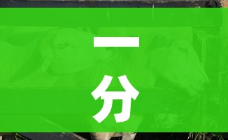 一分钟介绍使用“微信牛牛群斗牛群”轻松获取房卡全渠道 一分钟介绍使用“微信牛牛群斗牛群”轻松获取房卡全渠道