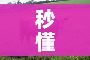 秒懂百科“微信牛牛群房卡”购买房卡介绍 秒懂百科“微信牛牛群房卡”购买房卡介绍