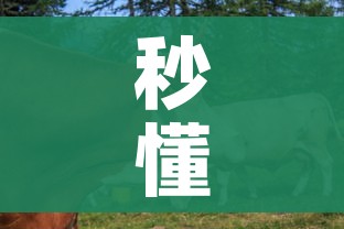 秒懂百科“微信牛牛群房卡”购买房卡介绍 秒懂百科“微信牛牛群房卡”购买房卡介绍