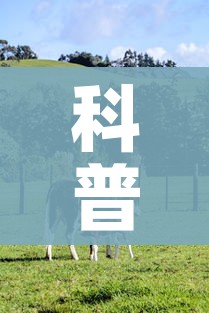 科普一下“微信牛牛群斗牛群”房卡使用教程 科普一下“微信牛牛群斗牛群”房卡使用教程
