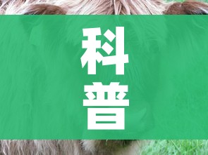房卡必备教程“五张牌斗牛牛软件”轻松获取房卡全渠道 房卡必备教程“五张牌斗牛牛软件”轻松获取房卡全渠道