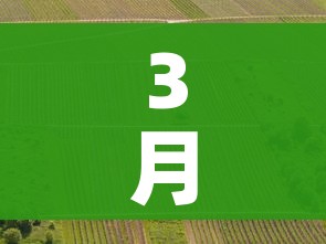 分享实测“微信斗牛房卡购买渠道”轻松获取房卡全渠道 分享实测“微信斗牛房卡购买渠道”轻松获取房卡全渠道