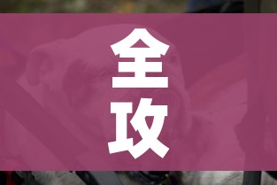 全攻略普及“微信牛牛群斗牛群”详细房卡教程 全攻略普及“微信牛牛群斗牛群”详细房卡教程