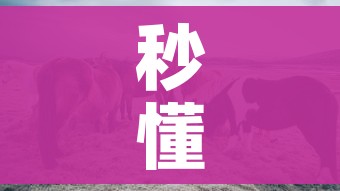 秒懂教程“微信牛牛群斗牛群”房卡怎么购买