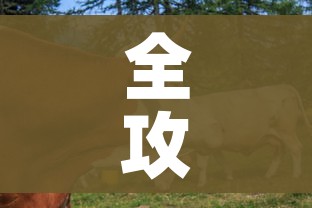 全攻略普及“开牛牛群怎么买房卡”房卡链接获取 全攻略普及“开牛牛群怎么买房卡”房卡链接获取