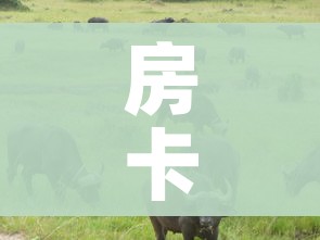 房卡必备教程“微信牛牛群斗牛群”详细房卡怎么购买教程 房卡必备教程“微信牛牛群斗牛群”详细房卡怎么购买教程