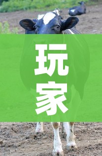 玩家攻略“微信牛牛群斗牛群”房卡获取方式 玩家攻略“微信牛牛群斗牛群”房卡获取方式
