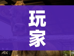 玩家攻略“微信牛牛群斗牛群”房卡获取方式 玩家攻略“微信牛牛群斗牛群”房卡获取方式