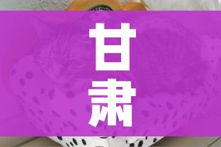 玩家攻略“微信炸 金花房卡链接在哪弄”房卡详细充值