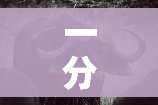 一分钟介绍使用“微信牛牛群斗牛群”房卡怎么购买