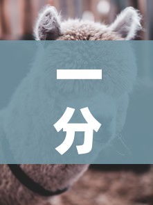 一分钟介绍使用“微信牛牛群斗牛群”房卡怎么购买