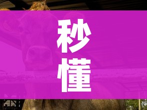 秒懂百科“微信牛牛群斗牛群”详细房卡教程