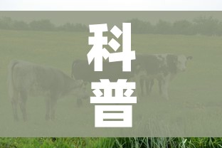科普一下“微信牛牛群房卡”房卡使用教程 科普一下“微信牛牛群房卡”房卡使用教程