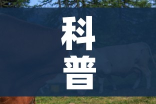科普一下“微信牛牛群房卡”房卡使用教程 科普一下“微信牛牛群房卡”房卡使用教程