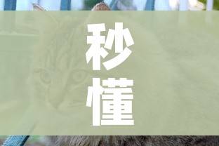 秒懂百科“斗牛房卡怎么购买”房卡怎么购买 秒懂百科“斗牛房卡怎么购买”房卡怎么购买